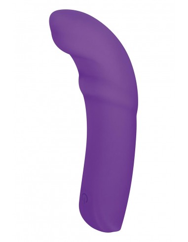 NMC 5 INCH SILICONE 10 FUNCTION VIBRATOR PURPLE