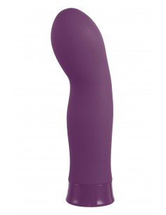 NMC 5 INCH RECHARGEABLE SILICONE 10 FUNCTIONS SPEED VIBRATOR PURPLE