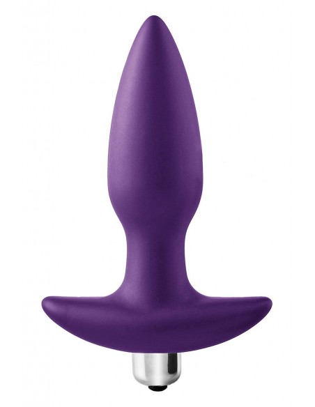 FLIRTS 10 FUNCTIONS VIBRATING PLUG PURPLE
