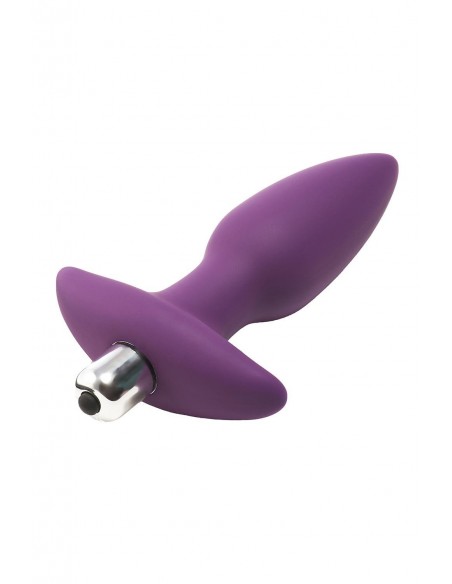 FLIRTS 10 FUNCTIONS VIBRATING PLUG PURPLE