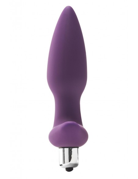 FLIRTS 10 FUNCTIONS VIBRATING PLUG PURPLE