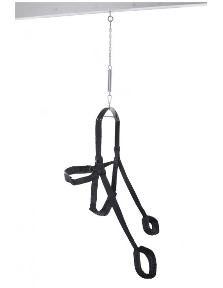 FETISH FANTASY SERIES FANTASY SWING