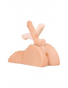 PDX PLUS PERFECT RIDE LIGHT