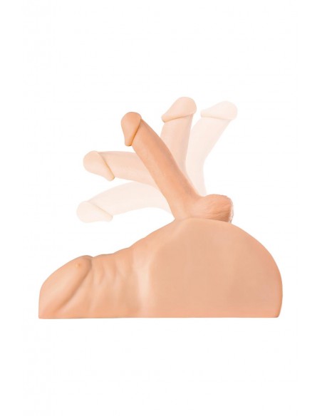 PDX PLUS PERFECT RIDE LIGHT