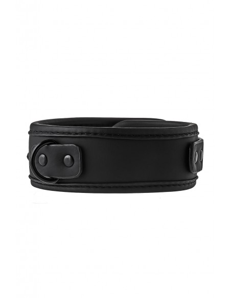 BLAZE COLLAR AND LEASH BLACK