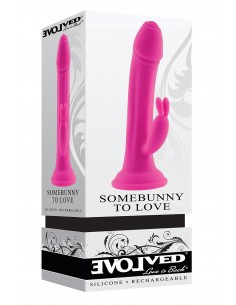 EVOLVED SOMEBUNNY TO LOVE 2