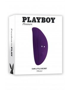PLAYBOY OUR LITTLE SECRET 2