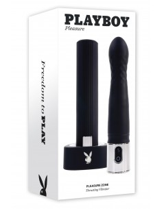 PLAYBOY PLEASURE ZONE 2