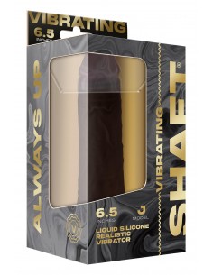 SHAFT VIBRATING  MODEL J... 2