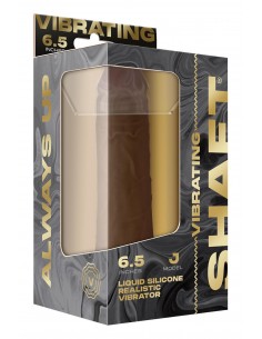 SHAFT VIBRATING  MODEL J... 2