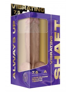 SHAFT VIBRATING  MODEL A... 2