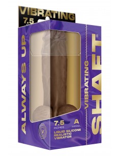 SHAFT VIBRATING  MODEL A... 2