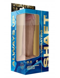 SHAFT VIBRATING MODEL C 9.5... 2