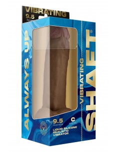 SHAFT VIBRATING MODEL C 9.5... 2